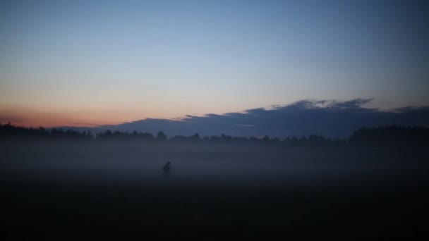 Menschen auf nebliger Wiese — Stockvideo