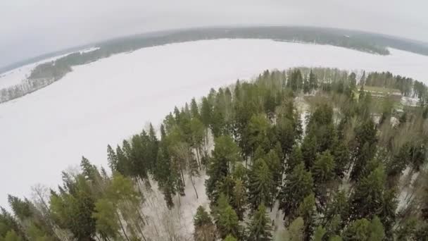 Landschaftspanorama mit Wald und Dorf — Stockvideo