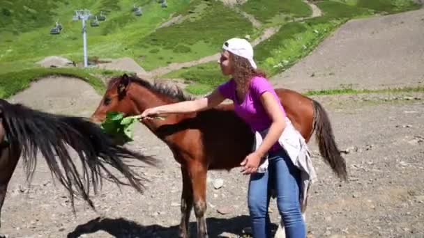 Žena fanning kůň — Stock video