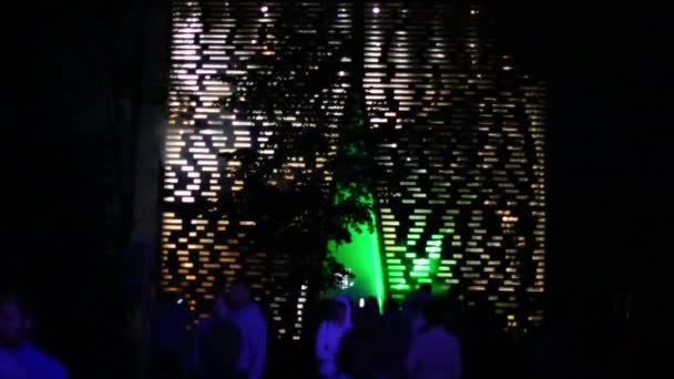 Mensen lopen in de buurt van verlichte installatie in bos — Stockvideo