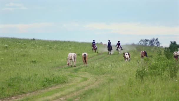 Tres vaqueros galopan a caballo — Vídeos de Stock
