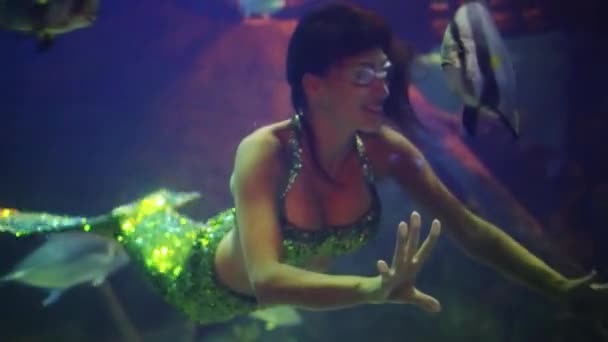 Meerjungfrau berührt Fische im Ozeanarium — Stockvideo
