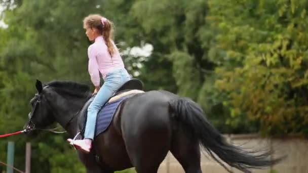 Liten flicka rider bay häst — Stockvideo