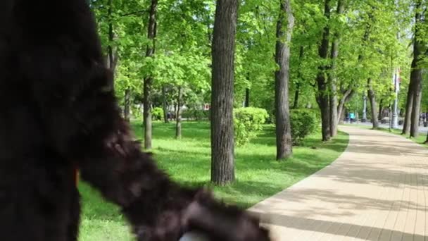 Schauspieler als Bär verkleidet spaziert durch Park — Stockvideo