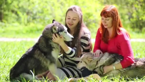 Мать и дочь с двумя собаками — стоковое видео