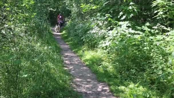 Father with daughter ride bicycle — Stock Video