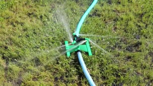 Automatic irrigation of lawns in the park — Stock Video