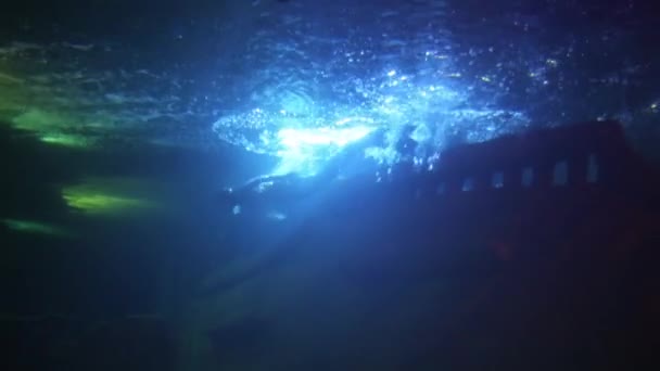 Meerjungfrau schwimmt im Ozeanarium — Stockvideo