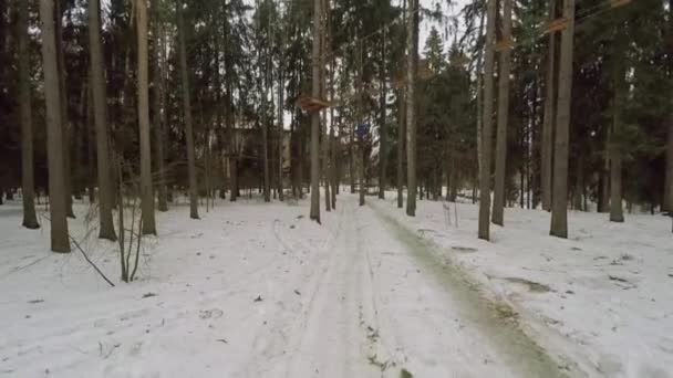 Rope bridge between trees in forest — Stock Video