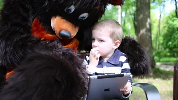 Actor dresses in bear suit — Stock Video