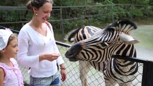 Madre y su hija alimentando cebra — Vídeo de stock