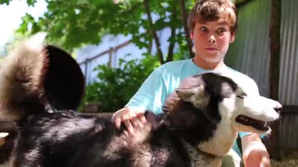 Guapo chico juega con husky dog — Vídeos de Stock