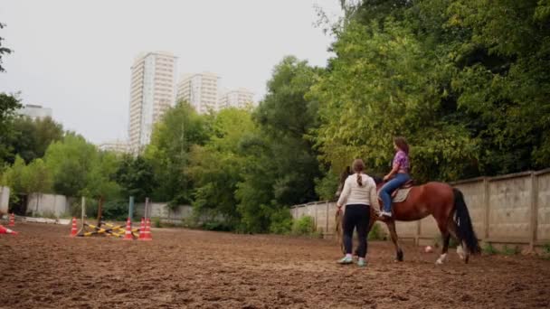 Mulher monta a cavalo — Vídeo de Stock