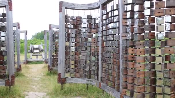 Trä installation i friluftsmuseum — Stockvideo