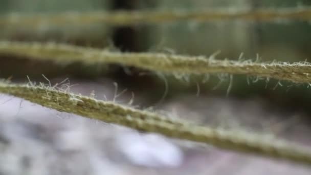 Flytta linor i industribyggnad med gammal vägg — Stockvideo