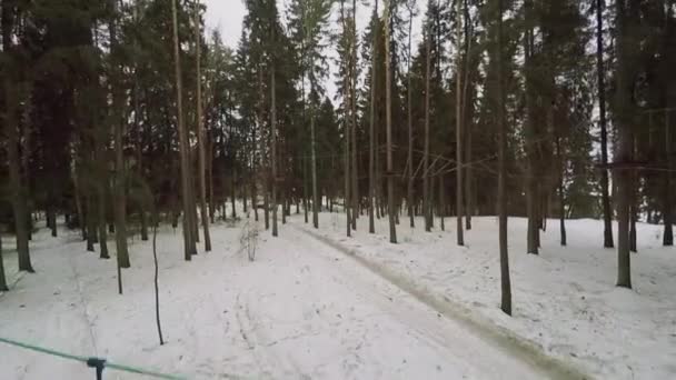 Parcours d'obstacles avec ponts à corde — Video