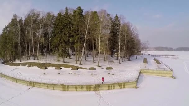 Donna si trova sul terrapieno del fiume innevato — Video Stock