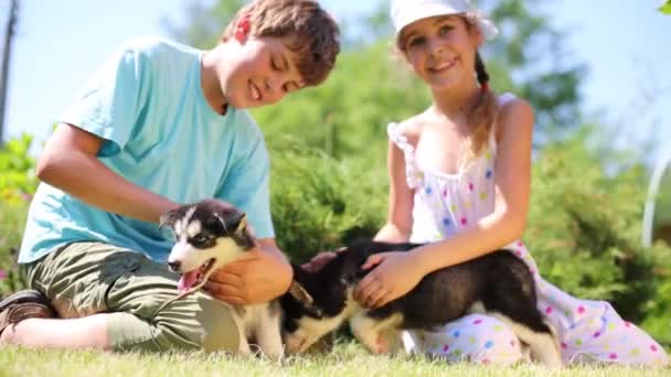 Chłopiec i dziewczynka z dwoma szczeniakami Husky — Wideo stockowe