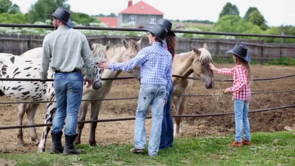 Cowboy family stands at fence of paddock with horses — Stock Video
