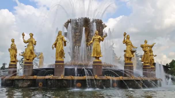Fontaine Amitié des gens sur le parc des expositions de toute la Russie — Video