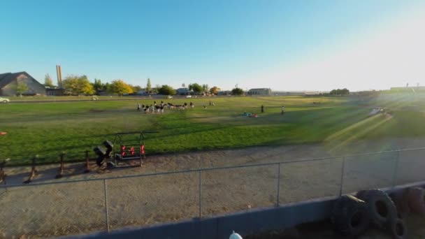 Los deportistas entrenan en el campo de fútbol — Vídeos de Stock