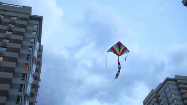 Colorful kite flies in sky — Stock Video