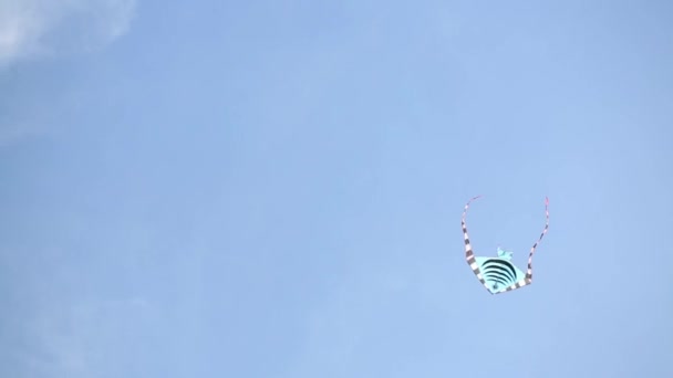 Striped kite with tails flies in the blue sky — Stock Video