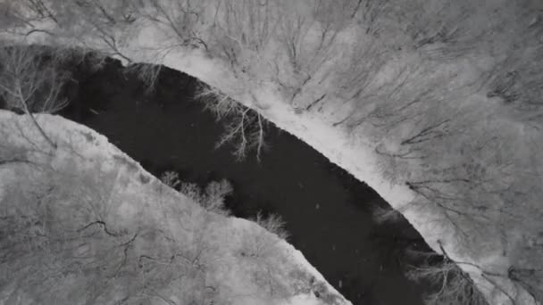 Snöfall i Park med Jauza River — Stockvideo