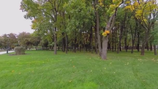 Viele Bäume im Fliedergarten — Stockvideo