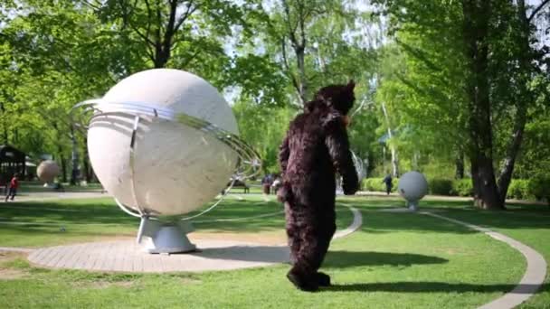 Vestidos de ator em terno de urso — Vídeo de Stock