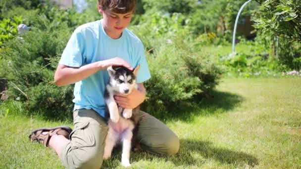 Boy sits with puppy husky — Stock Video