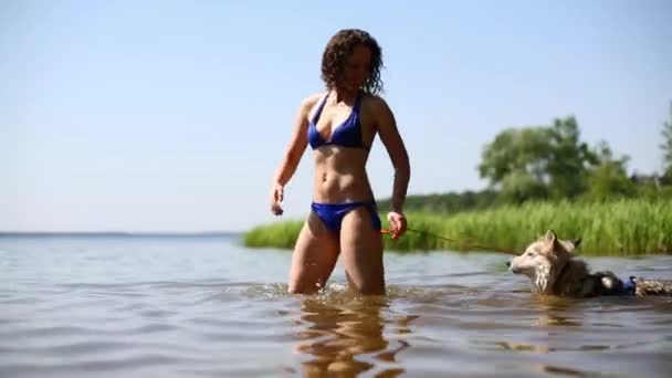 Гарненька жінка плаває з собакою хаскі — стокове відео