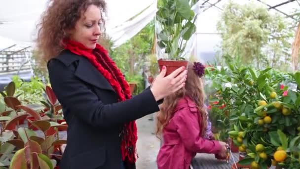 Mother and daughter holding flower pots — Stock Video