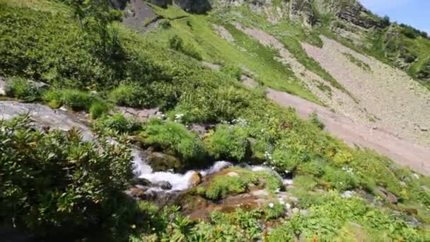 Kleiner, reiner Bach in wunderschönen Bergen — Stockvideo