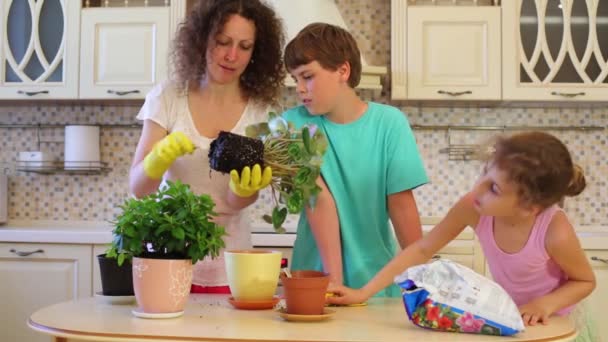 Vrouw transplantaties bloemen in potten, jongen en meisje zoeken — Stockvideo