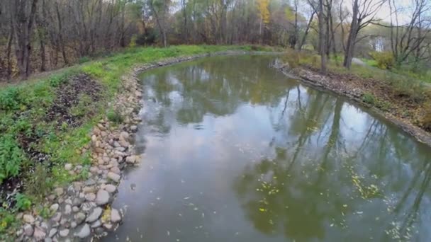 Потік в парку в осінній день — стокове відео