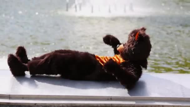 Herec dreseed v medvěd obleku leží na parapetu — Stock video