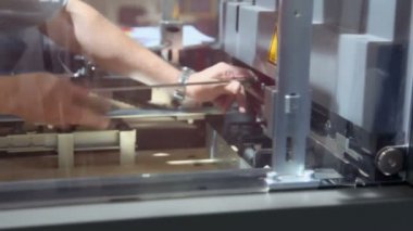 Adam vida somun mekanizması