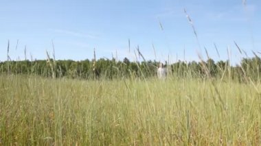 Adam tarlada çalışan