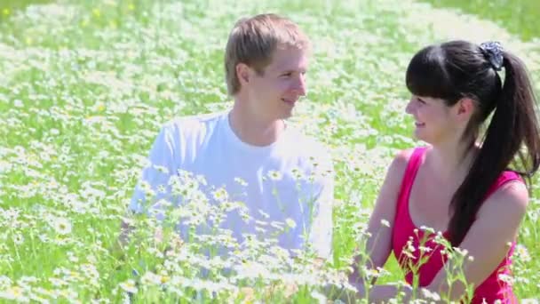 Young couple in camomile field — Stock Video