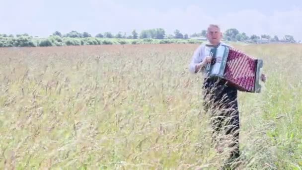 Alter Mann spielt Ziehharmonika — Stockvideo