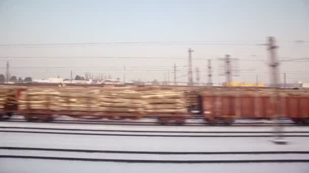 Freight trains on railroad — Stock Video