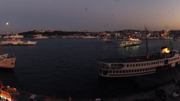 Ships float in bay Golden horn — Stock Video