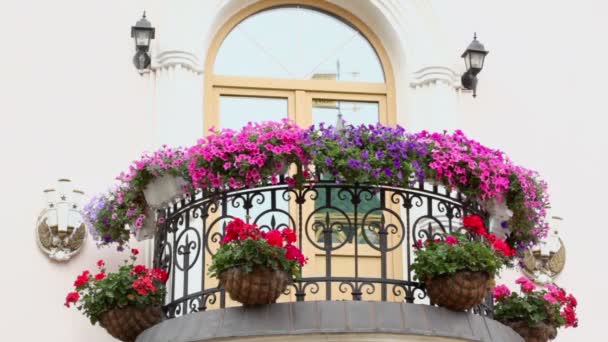 Macizos de flores en balcón — Vídeo de stock