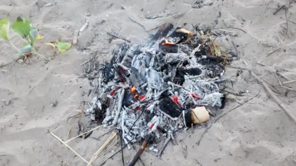 Pequeño fuego en descomposición sobre arena — Vídeo de stock