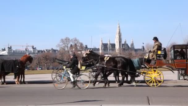 Vagnar med hästar i Wien — Stockvideo