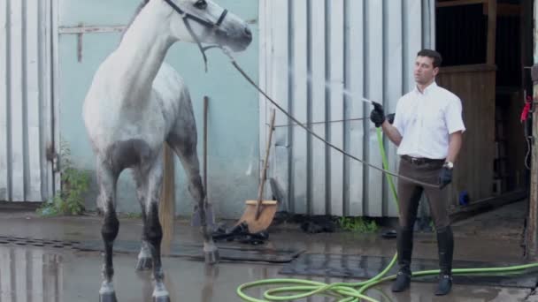 馬を持つ男 — ストック動画