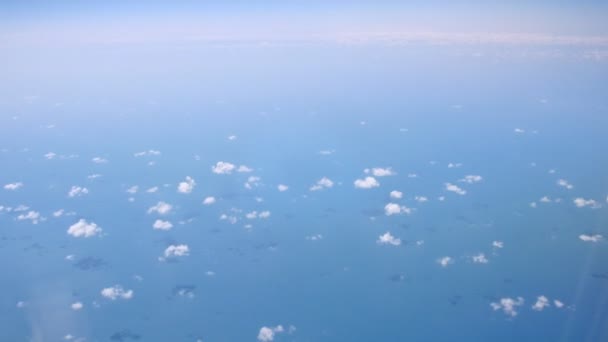 Plane flies highly over sea — Stock Video