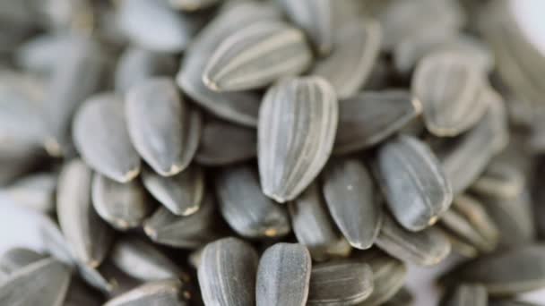 Dry black sunflower seeds — Stock Video