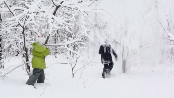 Boy with girl shake tree — Stock Video